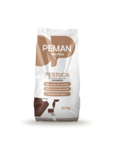 Producto Festuca Fawn Imagen 1