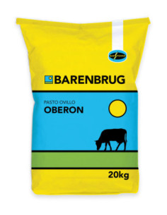 Producto Pasto Ovillo  Oberon Imagen 1