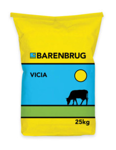 Producto Vicia Imagen 1