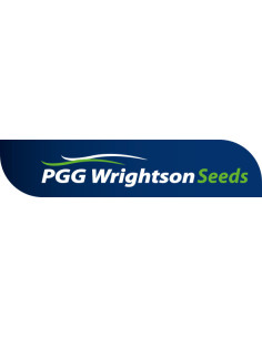 Alfalfa Monarca PGG Wrightson seeds  | Bipolos