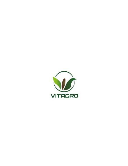 Alfalfa Aurora Grupo 6 - VITAGRO  | Bipolos