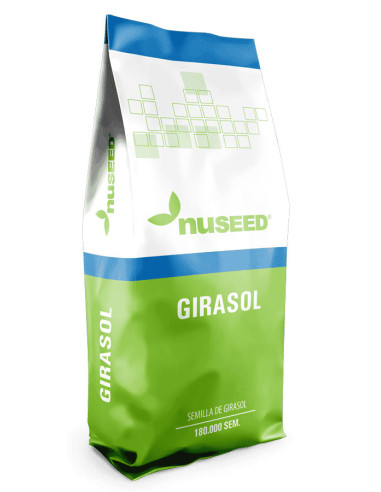 Producto Girasol Nusol 4145- Banda 1 - CL Imagen 1