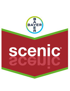 Producto Scenic Imagen 1