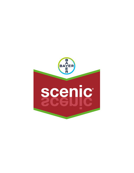 Producto Scenic Imagen 1